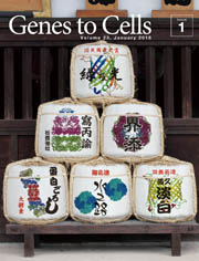 Genes to Cells, Vol. 23, No. 1 cover