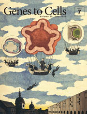 cover image