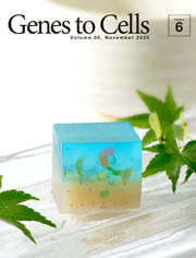 GTC cover art November 2025