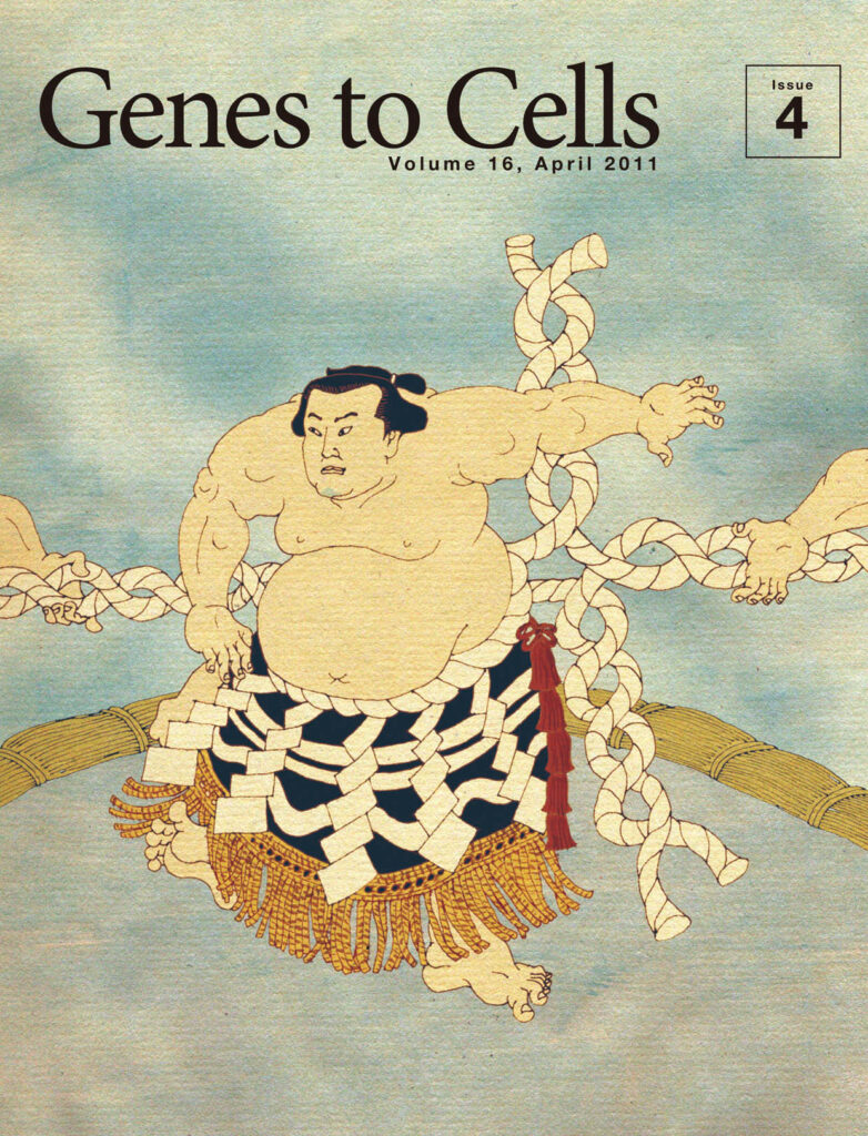 組み換えて次の世代へ受け継ぐ大相撲