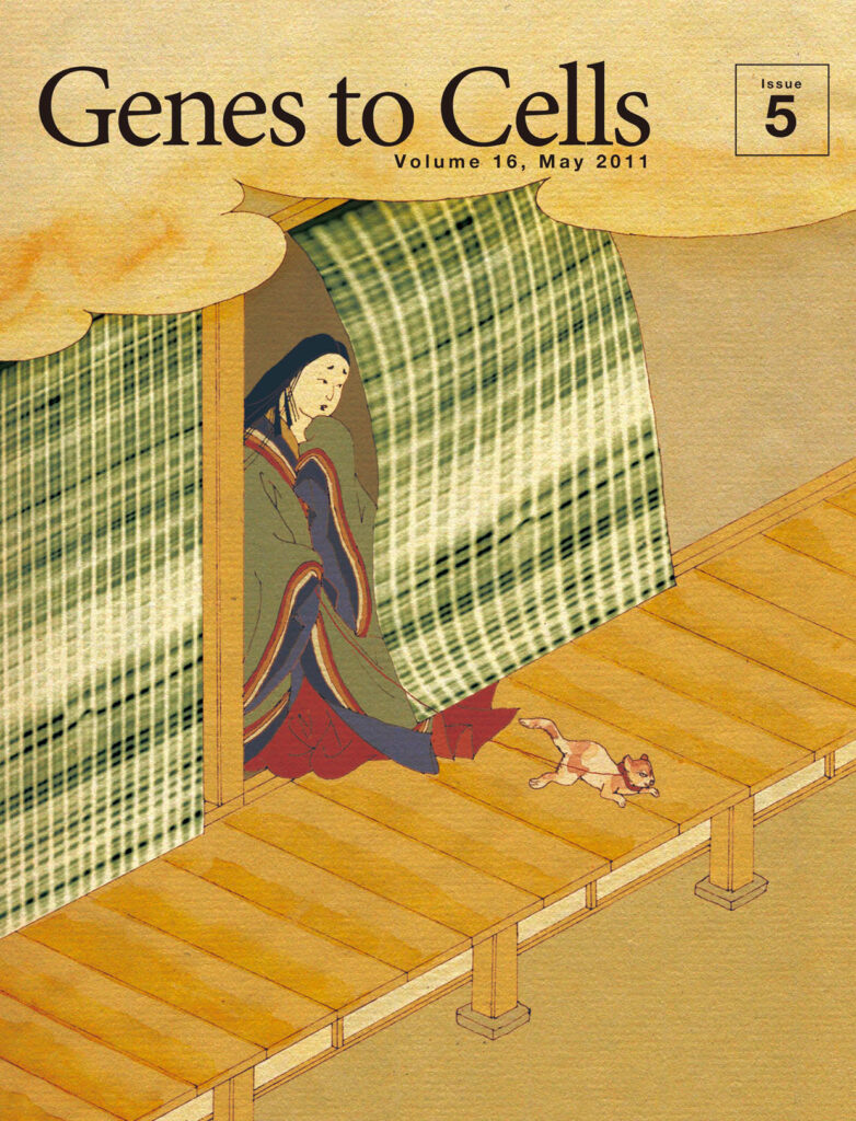 footprintすだれから顔をのぞかせる平安美女