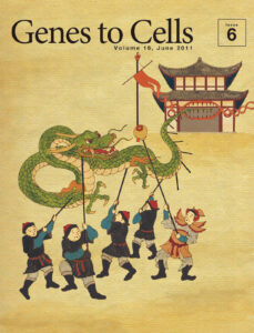 今日はメッセンジャー祭りだ！