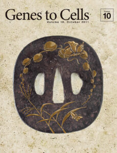 ヌクレオソームを実らせた稲穂に舞い降りる蝶