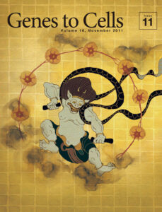 雷神、活動電位を発する！