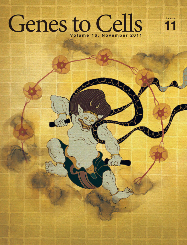 雷神、活動電位を発する！