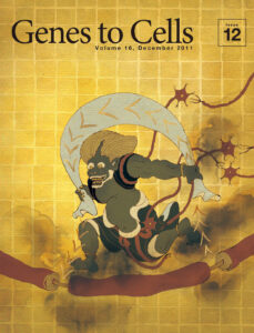 風神、「跳躍」伝導する！