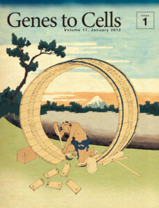 富士を背にDNA修復に励む職人