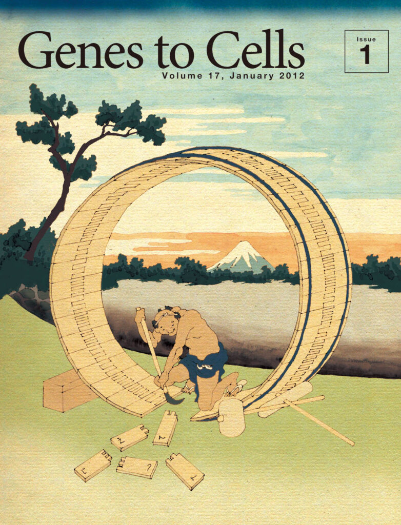 富士を背にDNA修復に励む職人