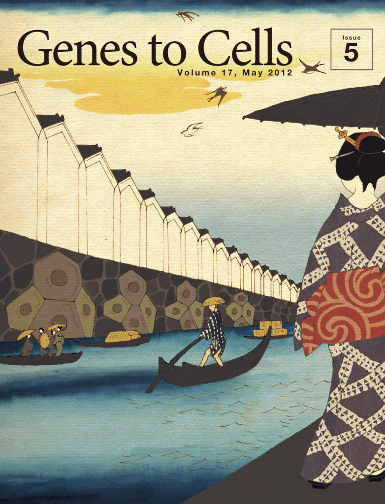 一滴の水も漏らさず再配置，美人見とれる細胞石垣