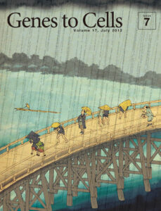 NGS時代の大はしあたけの夕立