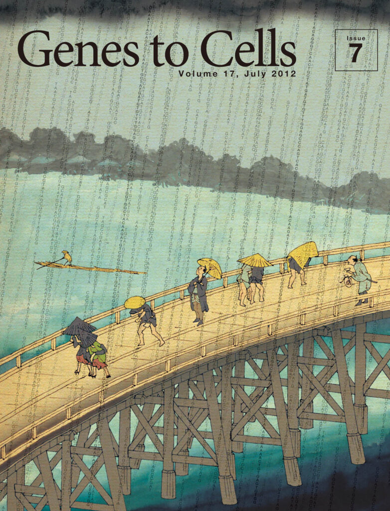 NGS時代の大はしあたけの夕立