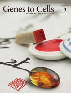 Amber（琥珀）をもって翻訳終了