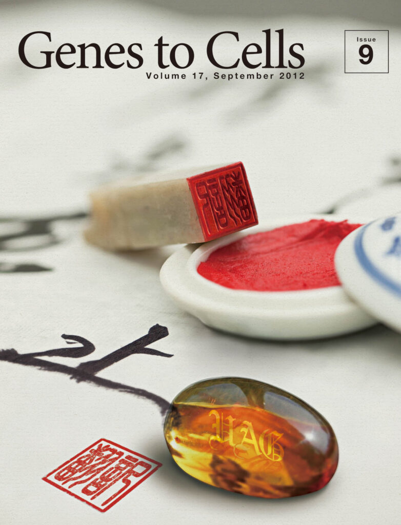 Amber（琥珀）をもって翻訳終了