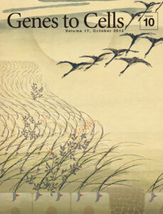 月に雁　繊毛波打つ　秋の宵