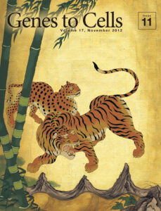 当世風龍虎図屏風　其一　豹紋的虎