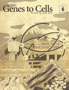 藍藻の概日リズム因子で創った渾天儀