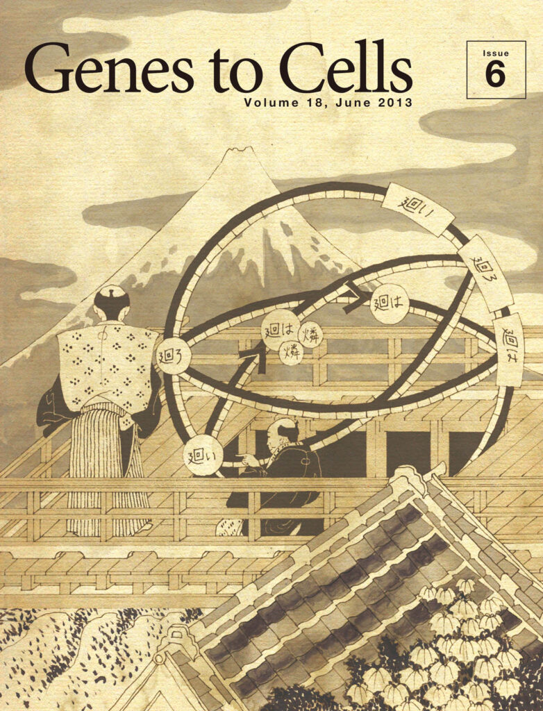 藍藻の概日リズム因子で創った渾天儀