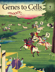 相馬野馬追　モデル生物勢、いざ出陣