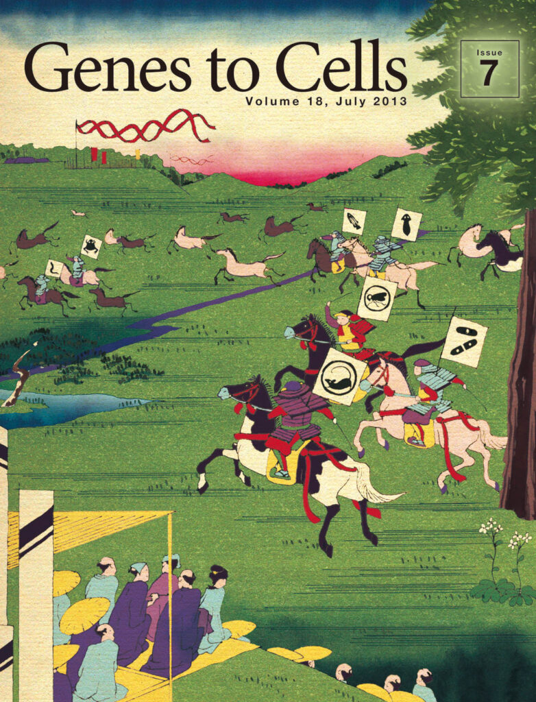 相馬野馬追　モデル生物勢、いざ出陣