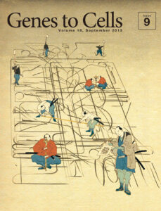 伊能忠敬一行が代謝マップを作成中