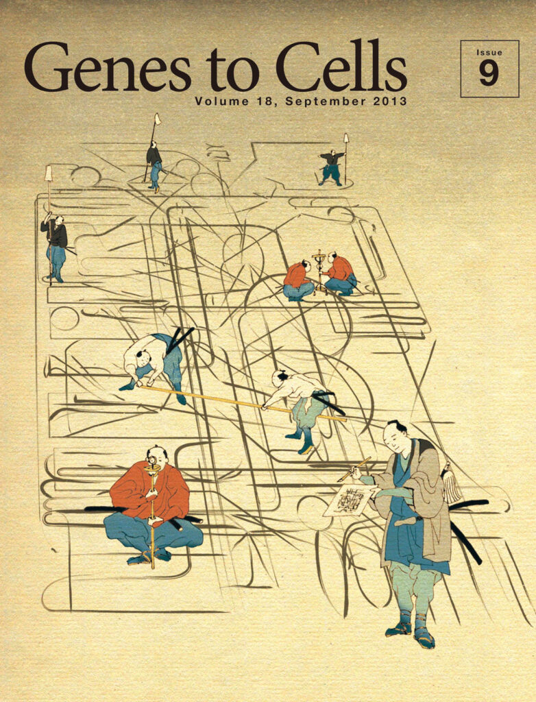 伊能忠敬一行が代謝マップを作成中