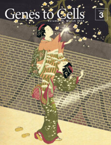 二人で共鳴し梅の枝を照らす