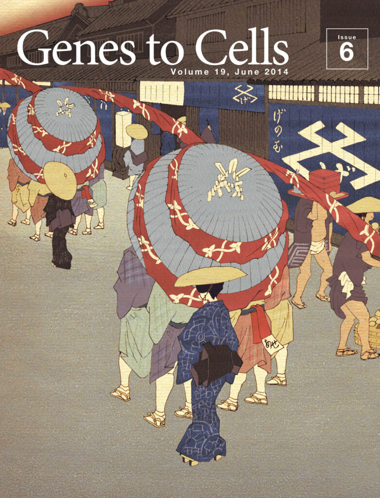 ヌクレオソーム似のかっぽれ踊りが練り歩く