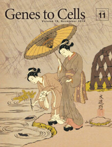 ニューロンの　雨中も続く　水迷路