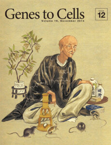 透明化試薬で目指す『続・解体新書』？