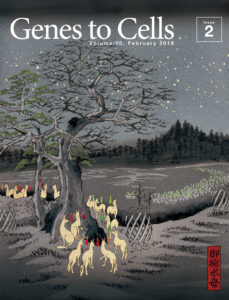 狐火も蛍光タンパク質も多色化の時代