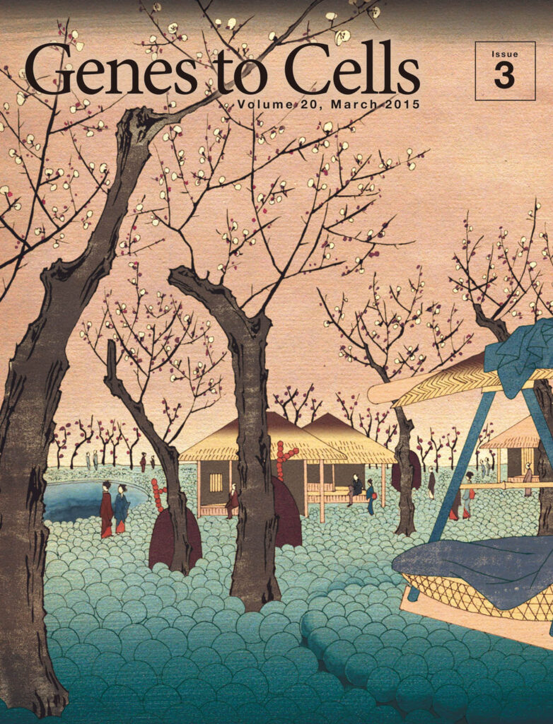 糖鎖を模した梅が香る細胞膜庭園