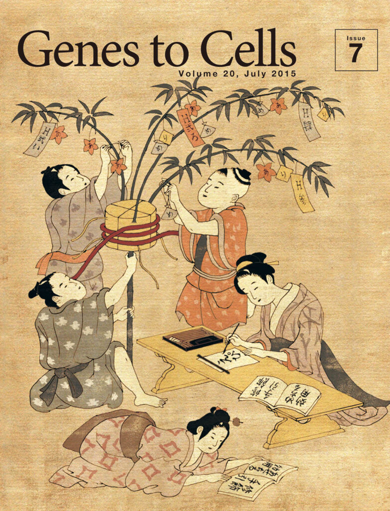 ヒストンの笹にエピジェネティックな飾り付け