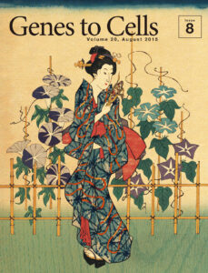 トランスポゾンが江戸に咲かせた変わりアサガオ