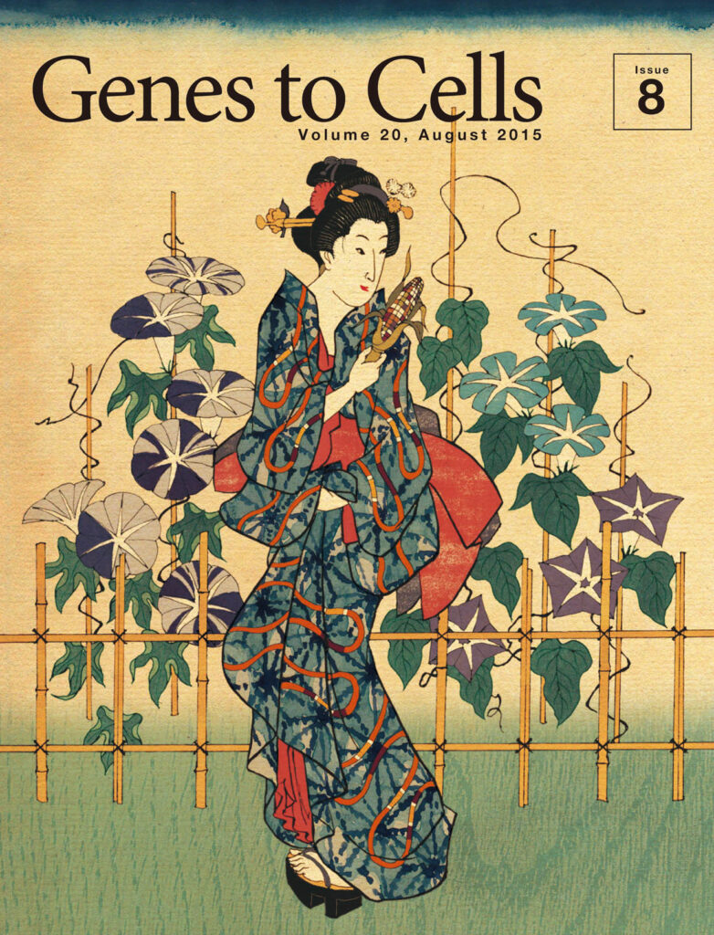 トランスポゾンが江戸に咲かせた変わりアサガオ