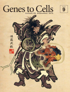 鍾馗（しょうき）が免疫系を武器に病鬼を退治する