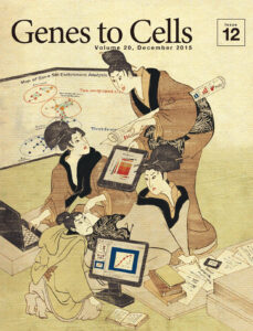 緊迫度を増す学会前夜の研究室