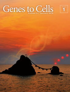 一年の計はセントラルドグマにあり