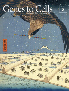 次世代シーケンサーの鳥瞰図