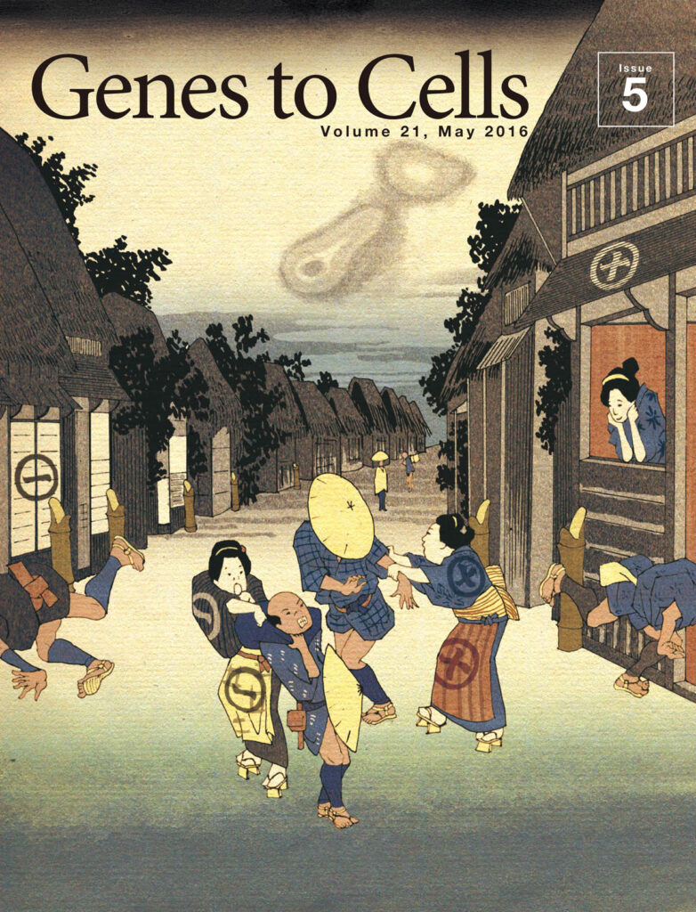 荷電に応じてご案内！セルソーターのお宿