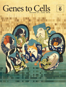 QTL解析が解くイヌの百面相