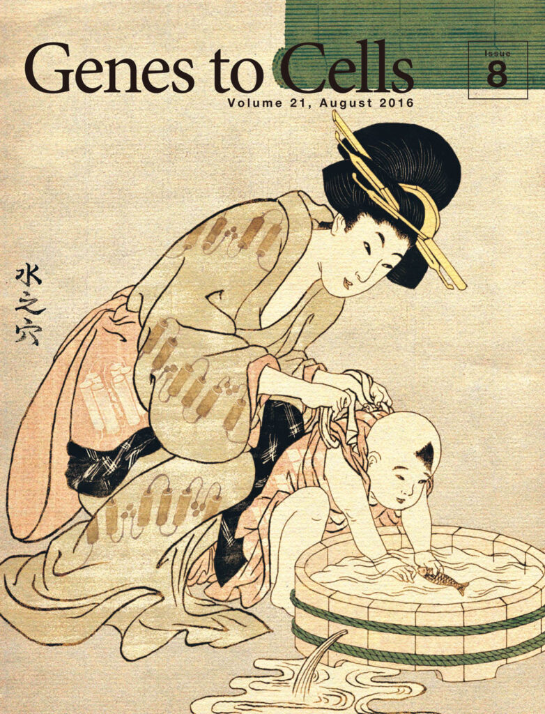 水遊び、たらいに開いたアクアポリン