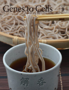 へぃ！ソバゲノム一枚！