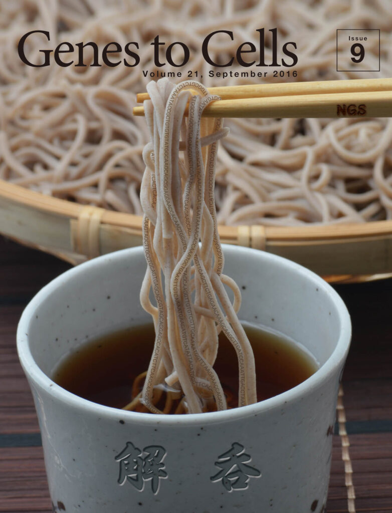 へぃ！ソバゲノム一枚！