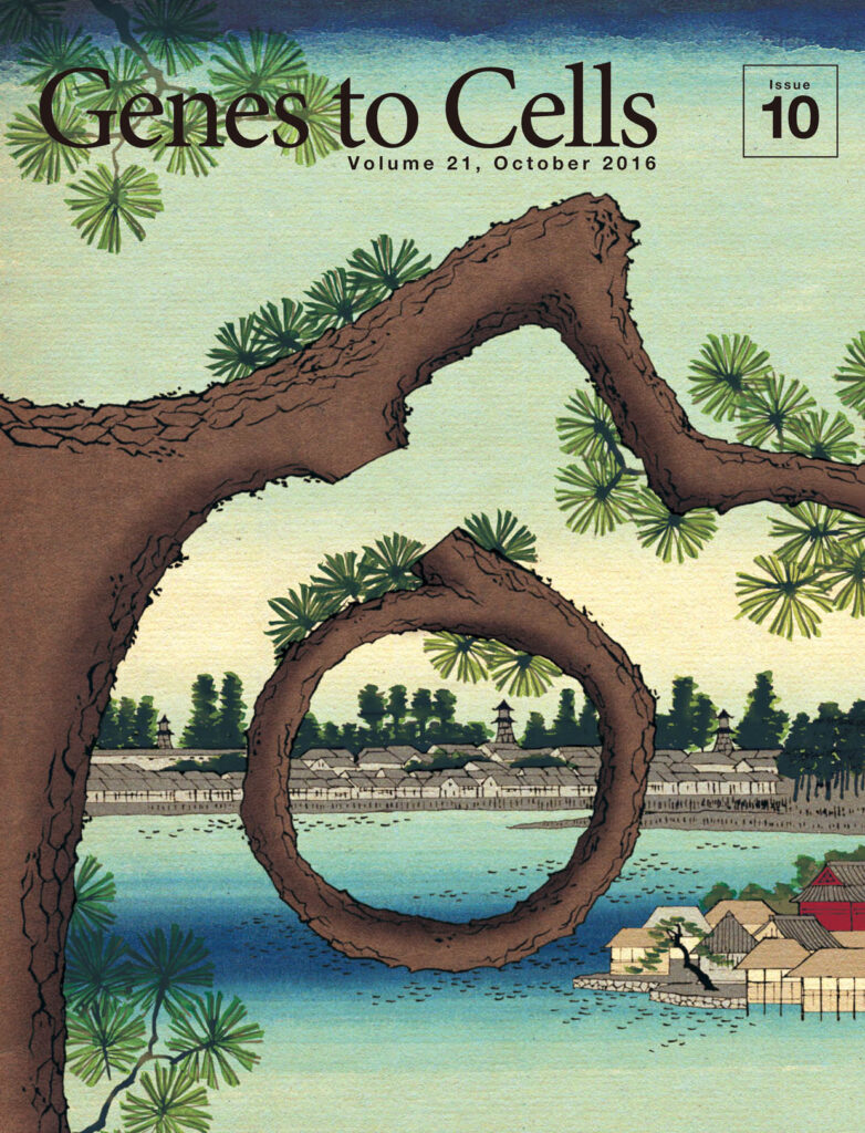 部位特異的組換えで剪定される松の枝