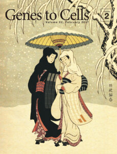 エピゲノムの違いが際立つ雪中の双生児