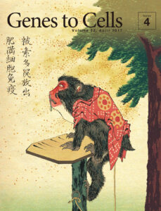 杉の木の脇では止まぬヒスタミン