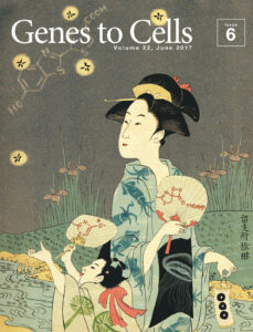 ルシフェリンの発光を楽しむ初夏の夜