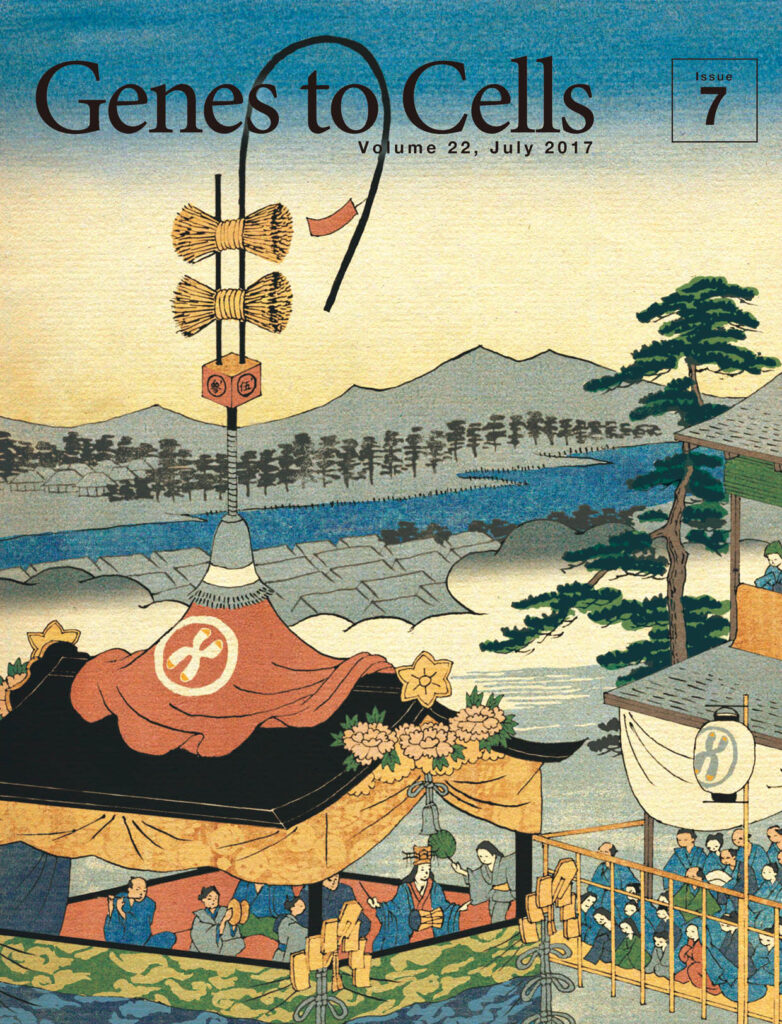 祇園祭にテロメア鉾が登場