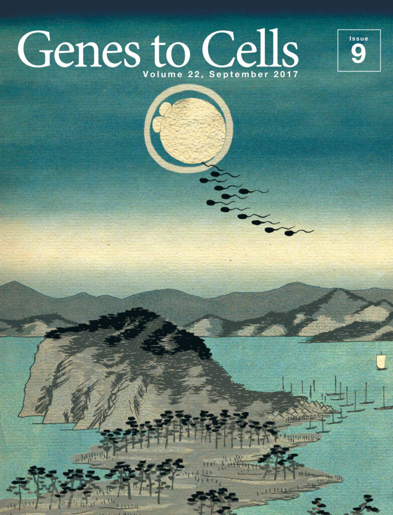 仲秋の月に雁、いや卵子に精子