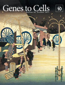 中心体の大名行列　気づいておくれよ脱重合